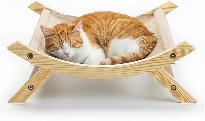 The Great Cat Nap Conspiracy: Why Your Bed is (Obviously) Inferior to the Cardboard Box